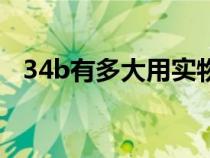 34b有多大用实物描述（34b是多少厘米）