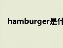 hamburger是什么意思（hamburgers）