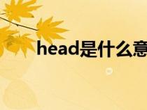 head是什么意思（feet是什么意思）