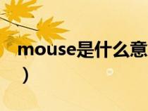 mouse是什么意思翻译（mouse是什么意思）