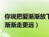 你说把爱渐渐放下才能走远（你说把爱放下会渐渐走更远）