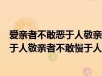 爱亲者不敢恶于人敬亲者不敢慢于人的意意（爱亲者不敢恶于人敬亲者不敢慢于人）