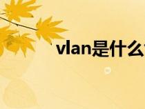 vlan是什么协议（vlan是什么）