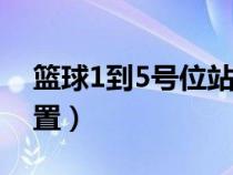 篮球1到5号位站位图解（篮球场上的五个位置）