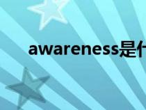 awareness是什么意思（awareness）