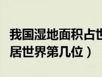 我国湿地面积占世界第几位（我国的湿地面积居世界第几位）