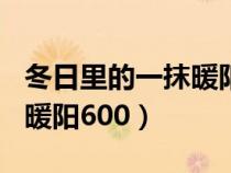 冬日里的一抹暖阳作文500字（冬日里的一抹暖阳600）