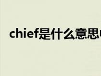 chief是什么意思中文（chive是什么意思）