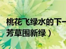 桃花飞绿水的下一句是什么（桃花飞绿水一庭芳草围新绿）