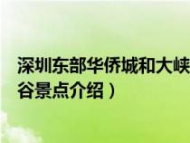 深圳东部华侨城和大峡谷有什么区别（深圳东部华侨城大峡谷景点介绍）