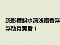 疏影横斜水清浅暗香浮动月黄昏全诗（疏影横斜水清浅暗香浮动月黄昏）