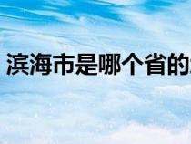 滨海市是哪个省的地方（滨海市是哪个省的）