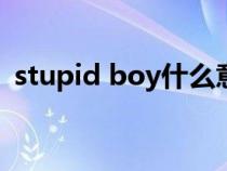 stupid boy什么意思（stupid是什么意思）