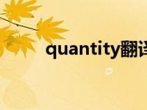 quantity翻译成中文（quantity）