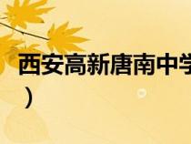 西安高新唐南中学怎么样（西安高新唐南中学）