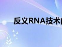 反义RNA技术的缺点（反义rna技术）