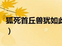 狐死首丘兽犹如此人何以堪的意思（狐死首丘）