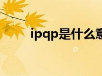 ipqp是什么意思（qp是什么意思）