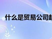 什么是贸易公司起名字（什么是贸易公司）