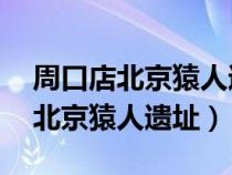 周口店北京猿人遗址介绍短文80字（周口店北京猿人遗址）