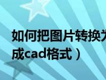 如何把图片转换为cad格式（怎么把图片转换成cad格式）