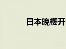 日本晚樱开花时间（日本晚樱）