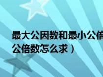 最大公因数和最小公倍数怎么求c语言（最大公因数和最小公倍数怎么求）