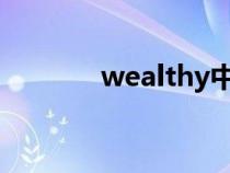 wealthy中文翻译（wealth）