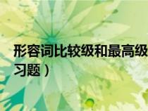 形容词比较级和最高级专题训练（形容词比较级和最高级练习题）