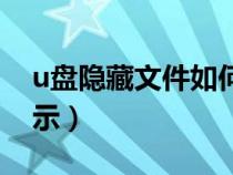 u盘隐藏文件如何恢复（u盘隐藏文件恢复显示）