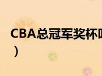 CBA总冠军奖杯叫什么名字（cba总冠军奖杯）