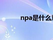 npa是什么意思（np什么意思）