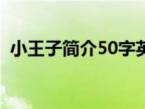 小王子简介50字英文版（小王子简介50字）