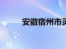 安徽宿州市灵璧县（安徽宿州市）