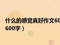 什么的感觉真好作文600字作文 初中（什么的感觉真好作文600字）