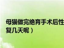 母猫做完绝育手术后性格有啥变化（母猫做了绝育一般要恢复几天呢）