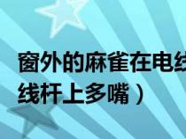 窗外的麻雀在电线杆上干啥（窗外的麻雀在电线杆上多嘴）