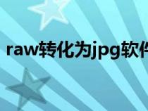 raw转化为jpg软件（raw格式转换jpg软件）