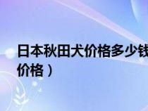 日本秋田犬价格多少钱一只秋田犬为何不叫?（日本秋田犬价格）