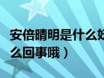 安倍晴明是什么妖（安倍晴明和贺茂沙罗是怎么回事哦）