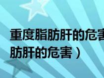 重度脂肪肝的危害治疗脂肪肝的方法（重度脂肪肝的危害）