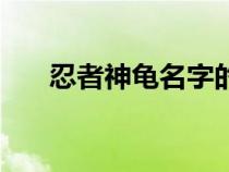 忍者神龟名字的含义（忍者神龟名字）