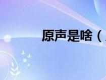 原声是啥（原声带是什么意思）