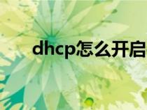 dhcp怎么开启手机（dhcp怎么开启）