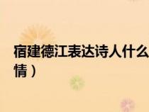 宿建德江表达诗人什么感情（宿建德江表达了诗人怎样的感情）