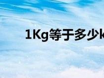 1Kg等于多少kgf（1kg等于多少kn）