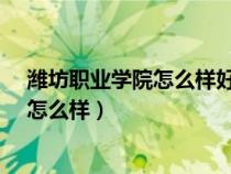 潍坊职业学院怎么样好不好是A档还是B档（潍坊职业学院怎么样）