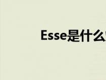 Esse是什么烟（esse是什么烟）