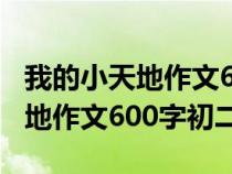 我的小天地作文600字初二记叙文（我的小天地作文600字初二）