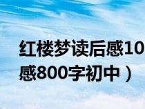 红楼梦读后感1000字左右高中（红楼梦读后感800字初中）